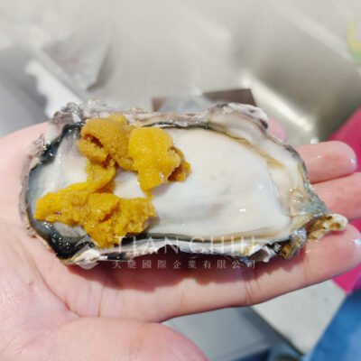 Japanese whole shell oysters