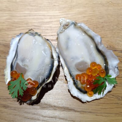 Japanese whole shell oysters