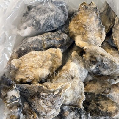 Japanese whole shell oysters