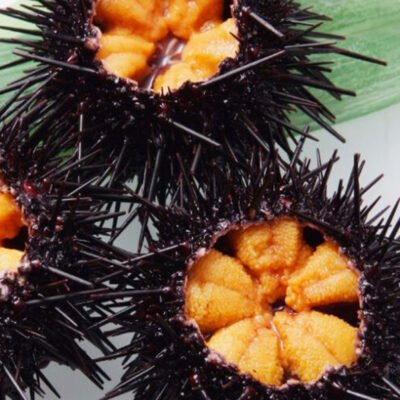 Chilean raw-eating sea urchin