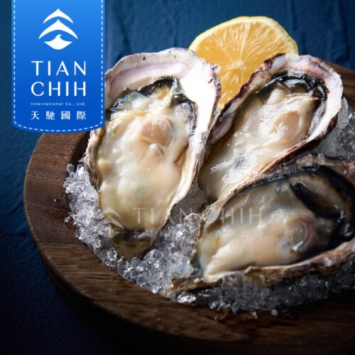日本全殼生蠔 (生食等級)