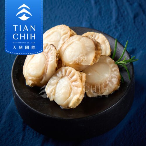5.日本青森帆立貝 Coquille Saint-Jacques d'Aomori (Coquille Saint-Jacques sans œufs)