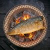 Salted Mackerel Fillet