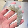 Headless Vannamei Shrimp