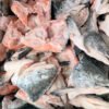 Gilled and Halved Salmon Head