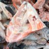Gilled and Halved Salmon Head
