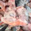 Gilled and Halved Salmon Head