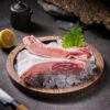 Southern Bluefin Tuna Collar