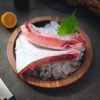 Southern Bluefin Tuna Collar
