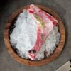 Southern Bluefin Tuna Collar