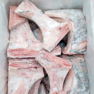 Southern Bluefin Tuna Collar