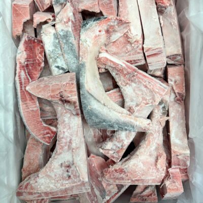 Southern Bluefin Tuna Collar