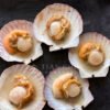 Half Shell Scallop