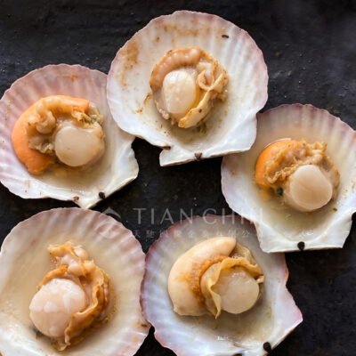 Half Shell Scallop
