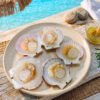 Half Shell Scallop