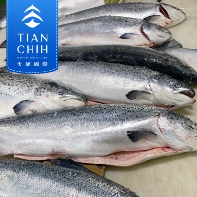 36-8.挪威鮭魚(原料) 挪威鮭魚(原料)